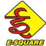 E-Square Alliance Private Limited company logo
