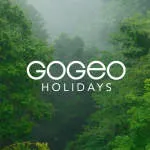 GOGEO HOLIDAYS company logo