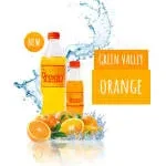 GREEN VALLEY BEVERAGES INDIA PVT LTD company logo