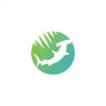 Hammer Head Global Solutions Pvt. Ltd. company logo