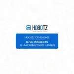 Hobotz IT Solutions India Pvt Ltd company logo