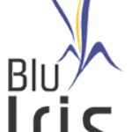Hotel Blu Iris company logo