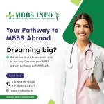 MBBSInfo educational Services pvt. ltd. company logo