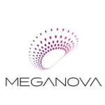 MegaNova Consultancy Services LLP company logo