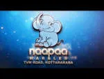 Naapaa Marbles company logo