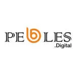 Pebbles Digital company logo