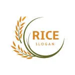 RICE AND FLAVOURS LLP company logo