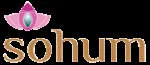 Sohum Luxury Spas Pvt Ltd company logo