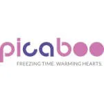 Studio Picaboo company logo