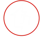 TECHNO INDIA GROUP company logo