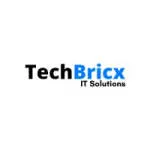 TechBricx IT Solutions company logo