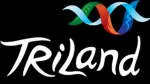 Triland Animation Studios Pvt Ltd. company logo