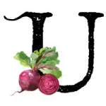 URBAN ACRE company logo