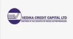 VEDIKA AGENCIES company logo