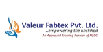 Valeur Fabtex Private Limited company logo