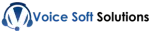 Voice Soft Solutions Pvt Ltd company logo