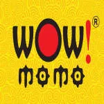 Wow Momo Foods Pvt. Ltd company logo