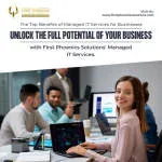 first phoenics solutions inc company logo