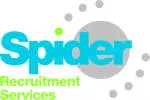 spiderrecruitment company logo