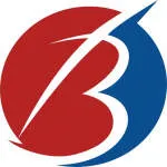 Bigshare Services company logo