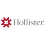 Hollister Global Business Services India Private L company logo