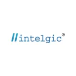 Intelgic Technologies company logo