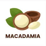 MACADAMIA CREATIVES PVT LTD company logo