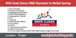 White Clouds World School (CBSE) company logo