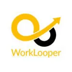 Worklooper Consultants Pvt. Ltd company logo