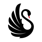 Black Swan Business Setup Services company logo