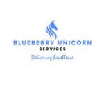 Blueberry unicorn Services company logo