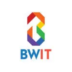 BriskWin IT Solutions company logo