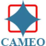 Cameo Corporate Services Limited company logo