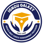IGNOU Galaxy company logo