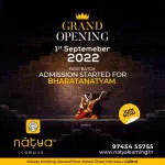 Natya Arts Innovation Pvt Ltd company logo