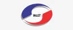 NeST GROUP company logo