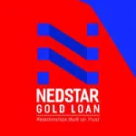 Nedstar Capital India Pvt Ltd company logo
