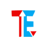 Teutonic Engineering company logo