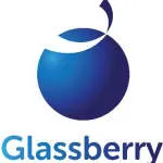 The Glassberry IT Solutions pvt. Ltd company logo
