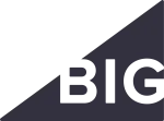 theBigMarket company logo