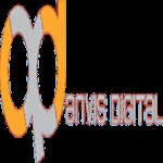 Anvis Digital company logo