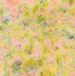 BLOSSOM INNERS PVT LTd company logo