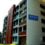 BLUESPUN APPARELS company logo