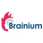 Brainium Information Technologies Pvt. Ltd. company logo