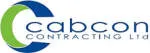 CABCON INDIA LTD company logo