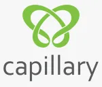 Capillary Technologies India Pvt Ltd company logo
