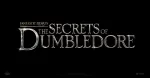 Dumbledo company logo