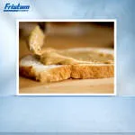 Fristam Pumps (India )Pvt Ltd company logo