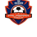 Gurudeva's SSB Academy company logo