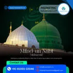 Insometric Solutions LLP company logo